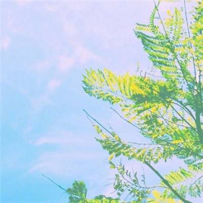 深海美姬手机游戏最新版(暂未上线)v1.0 官方安卓版